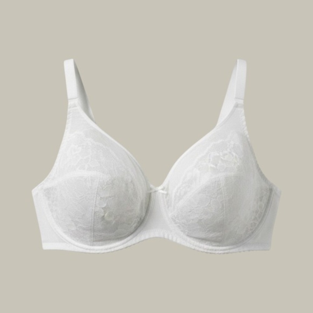 HSIA Enchante Lace Unlined Full Coverage Underwire Bra White 40DDD NEW